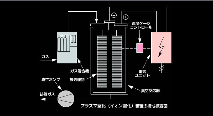 全体写真